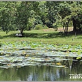 關山親水公園(縱谷大地藝術季)-2021-07-36.jpg