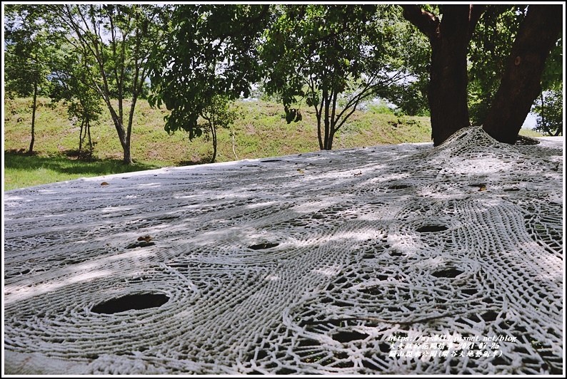 關山親水公園(縱谷大地藝術季)-2021-07-52.jpg