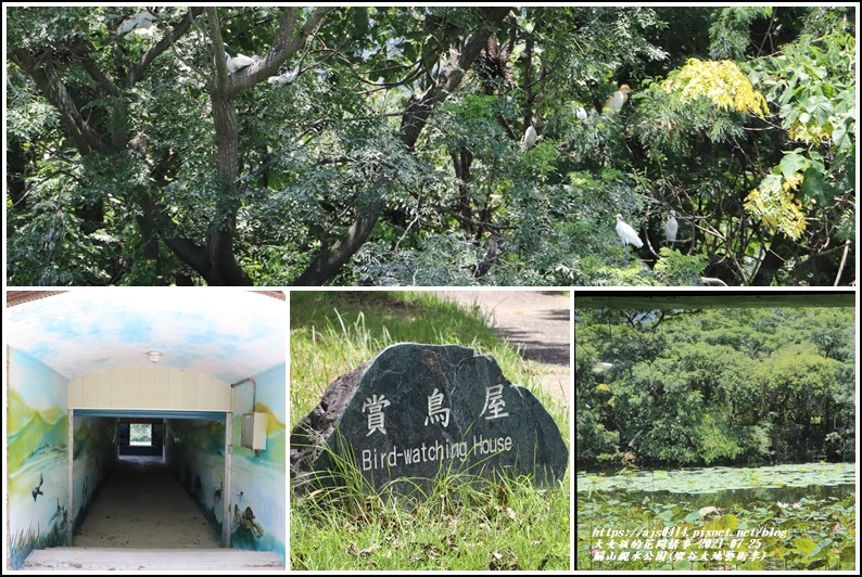 關山親水公園(縱谷大地藝術季)-2021-07-46.jpg