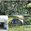 關山親水公園(縱谷大地藝術季)-2021-07-46.jpg