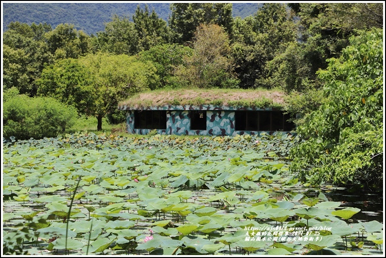 關山親水公園(縱谷大地藝術季)-2021-07-54.jpg