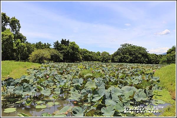 關山親水公園(縱谷大地藝術季)-2021-07-61.jpg