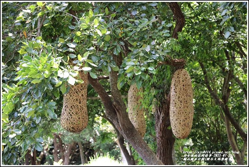 關山親水公園(縱谷大地藝術季)-2021-07-68.jpg