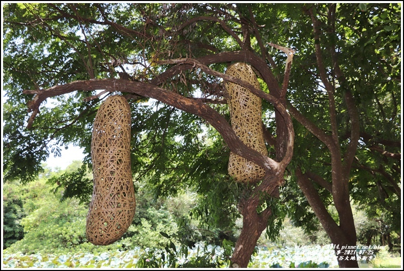 關山親水公園(縱谷大地藝術季)-2021-07-70.jpg