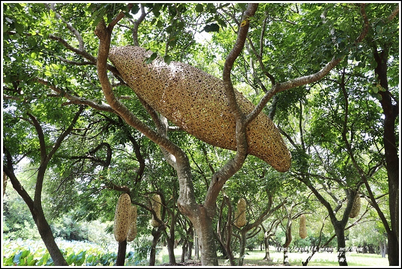 關山親水公園(縱谷大地藝術季)-2021-07-66.jpg