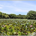 關山親水公園(縱谷大地藝術季)-2021-07-64.jpg