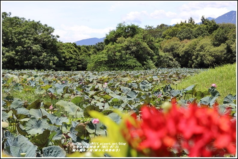 關山親水公園(縱谷大地藝術季)-2021-07-63.jpg