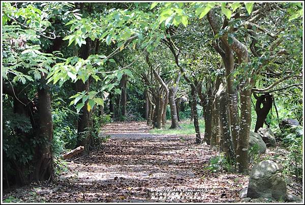 關山親水公園(縱谷大地藝術季)-2021-07-75.jpg