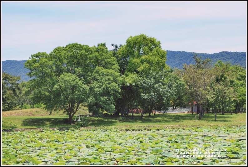 關山親水公園(縱谷大地藝術季)-2021-07-84.jpg