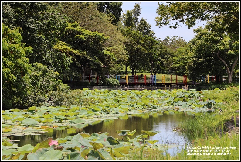 關山親水公園(縱谷大地藝術季)-2021-07-82.jpg