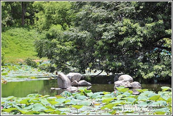 關山親水公園(縱谷大地藝術季)-2021-07-81.jpg