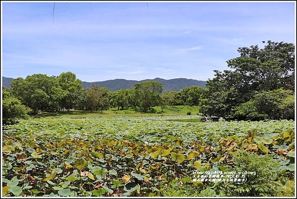 關山親水公園(縱谷大地藝術季)-2021-07-79.jpg