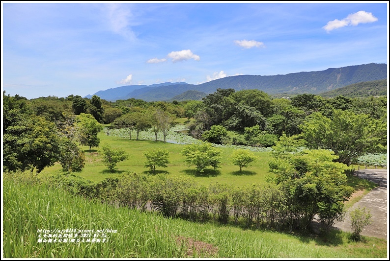 關山親水公園(縱谷大地藝術季)-2021-07-87.jpg