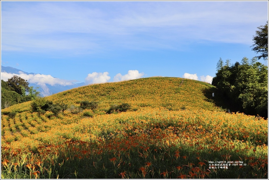 赤柯山千噸神龜-2021-08-01.jpg