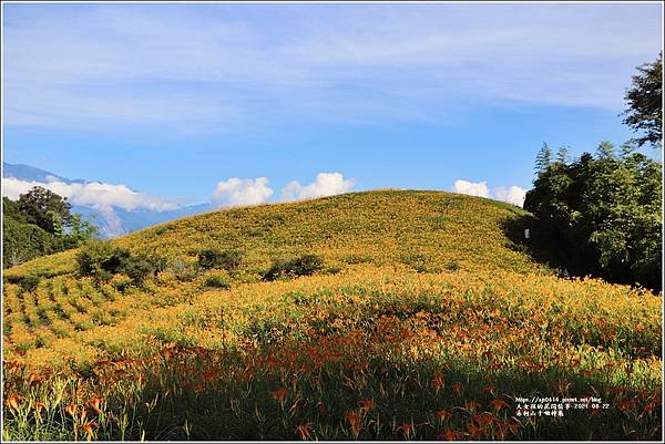 赤柯山千噸神龜-2021-08-01.jpg