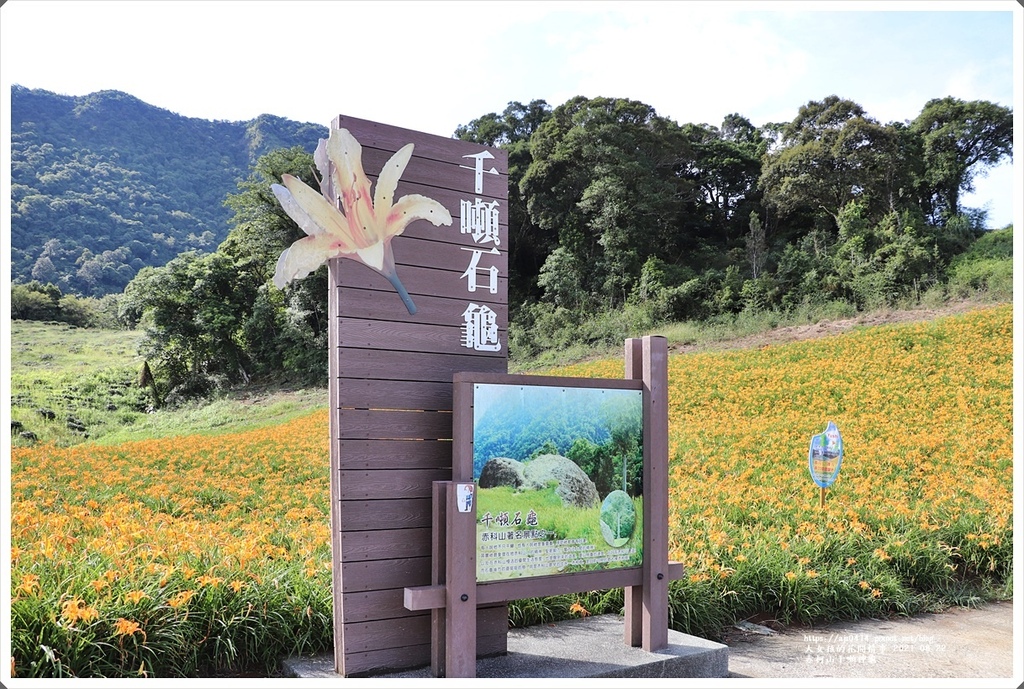 赤柯山千噸神龜-2021-08-05.jpg