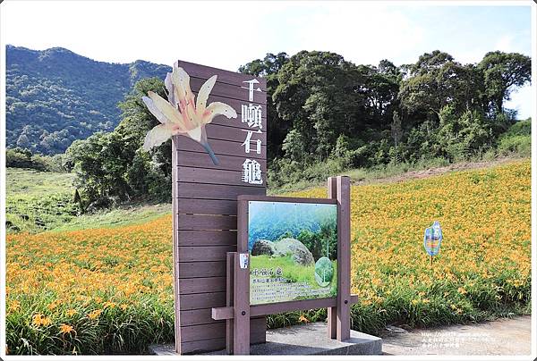 赤柯山千噸神龜-2021-08-05.jpg