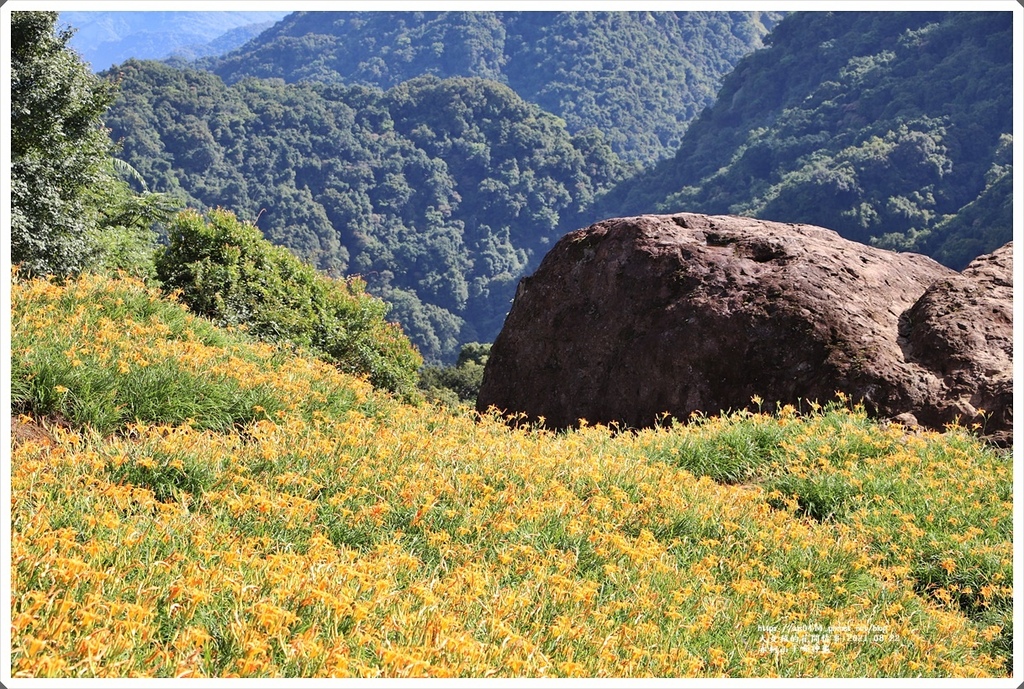 赤柯山千噸神龜-2021-08-16.jpg