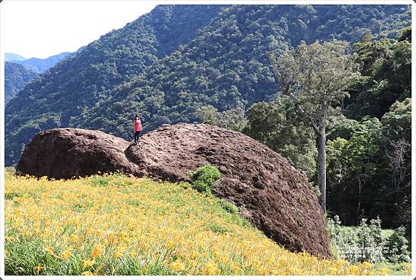 赤柯山千噸神龜-2021-08-21.jpg