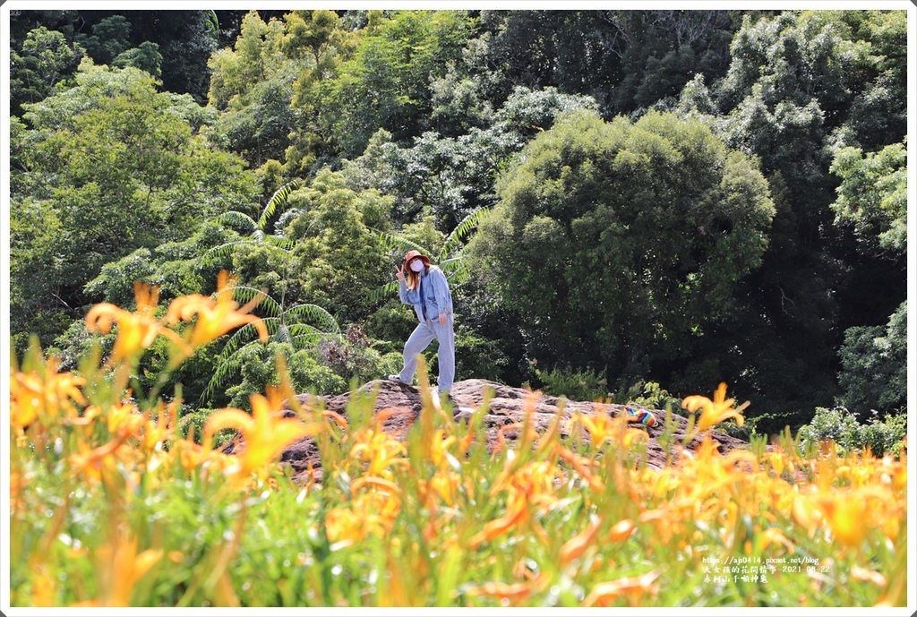 赤柯山千噸神龜-2021-08-22.jpg