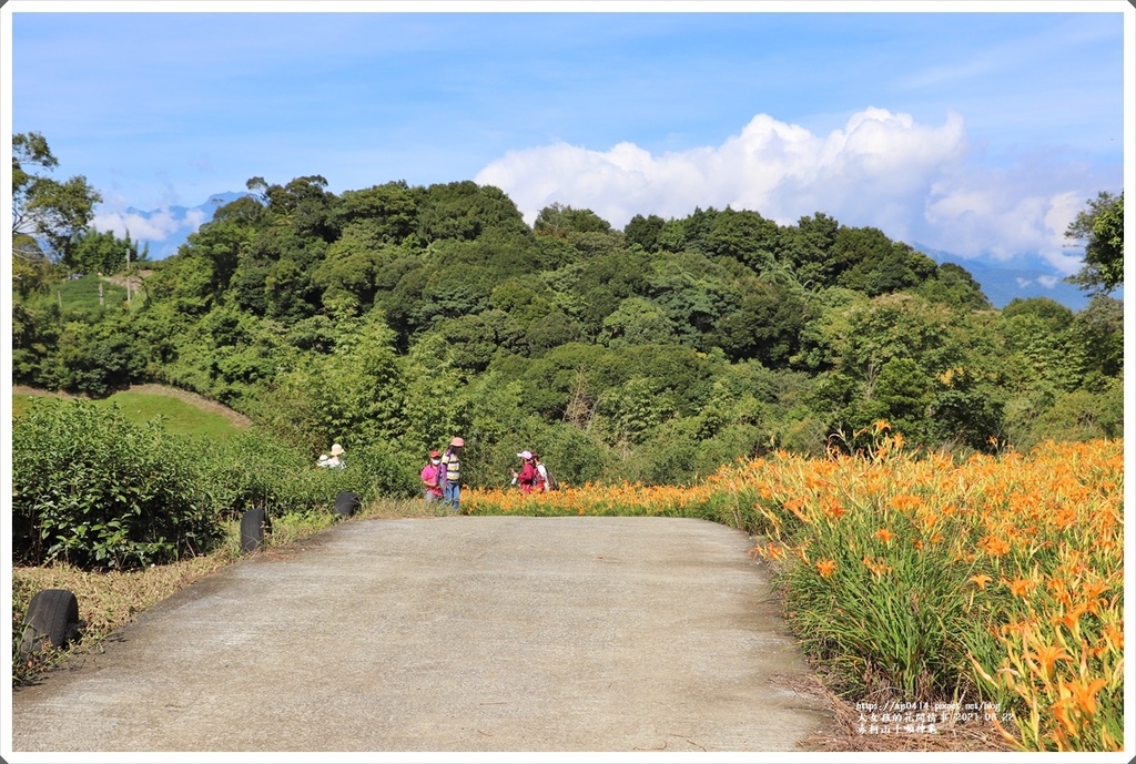 赤柯山千噸神龜-2021-08-24.jpg