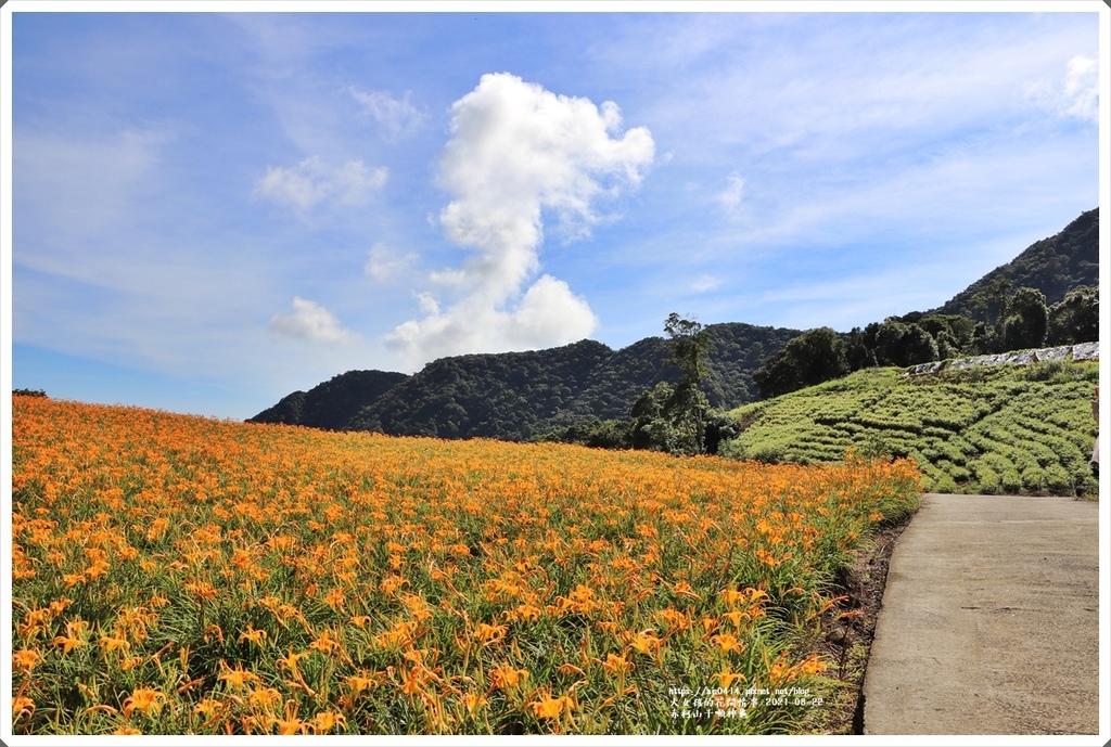 赤柯山千噸神龜-2021-08-25.jpg