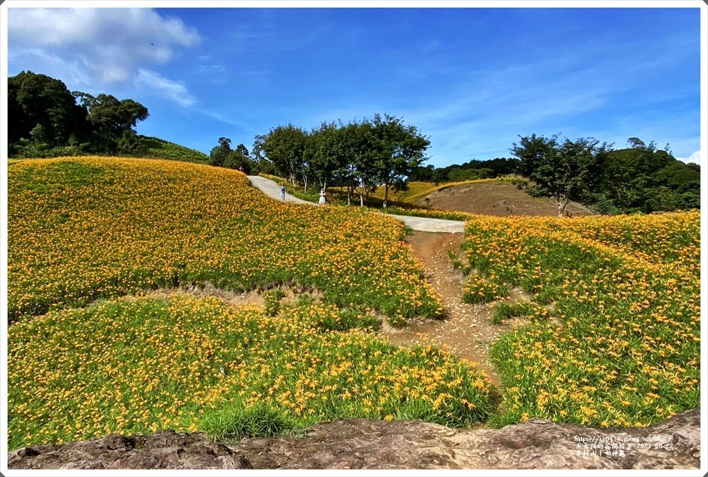 赤柯山千噸神龜-2021-08-32.jpg