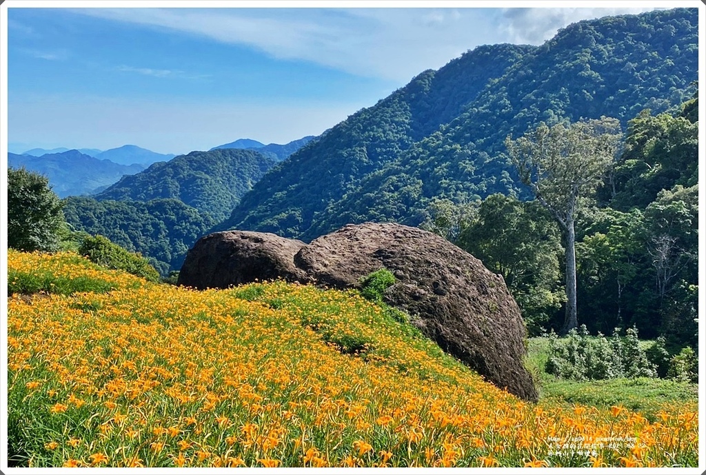 赤柯山千噸神龜-2021-08-33.jpg