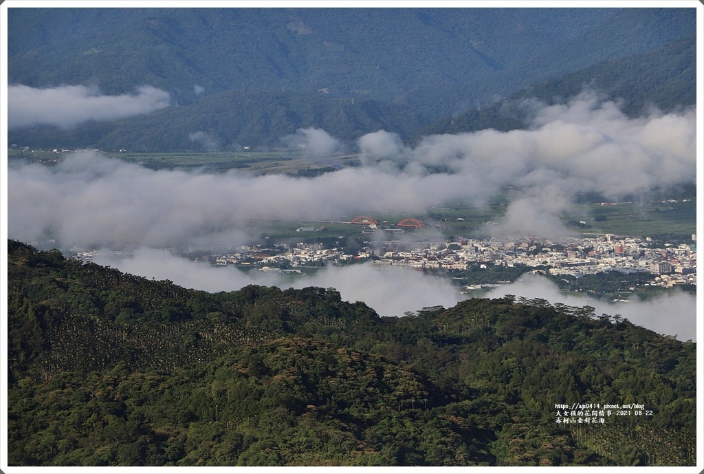 赤柯山金針花海-2021-08-04.jpg