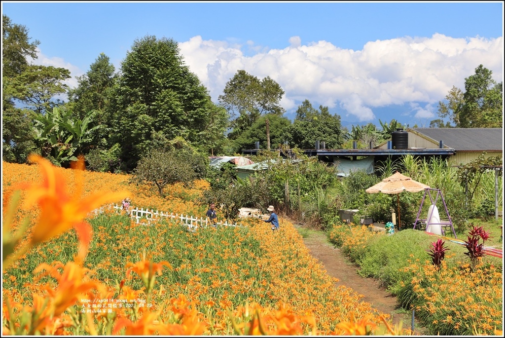 赤柯山林家園-2021-08-06.jpg