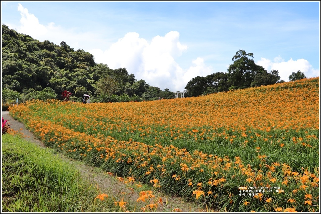 赤柯山林家園-2021-08-10.jpg