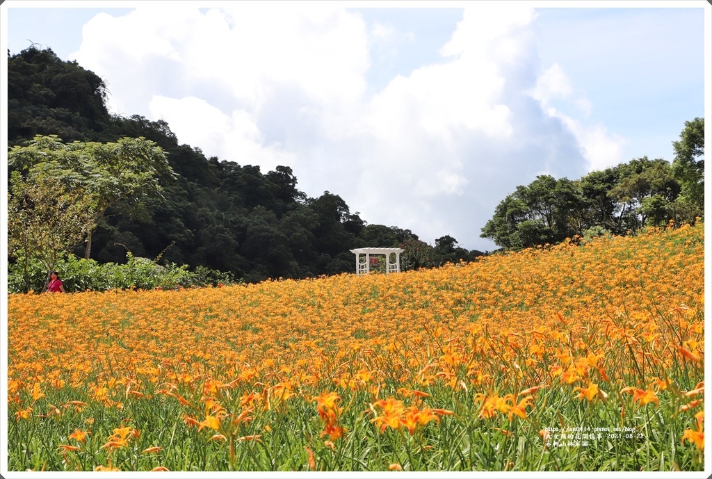 赤柯山林家園-2021-08-21.jpg