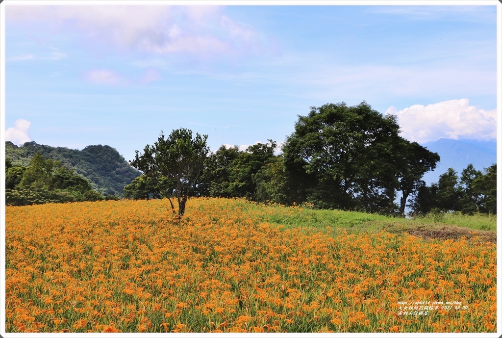 赤柯山萱園居-2021-08-02.jpg