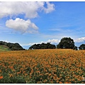 赤柯山萱園居-2021-08-04.jpg