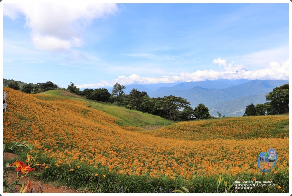 赤柯山萱園居-2021-08-07.jpg