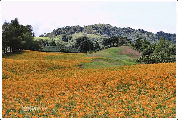 赤柯山萱園居-2021-08-06.jpg