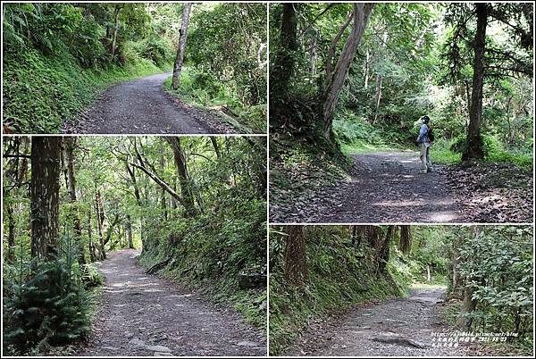 瓦拉米步道(八通關越嶺線東段)-2021-08-06.jpg