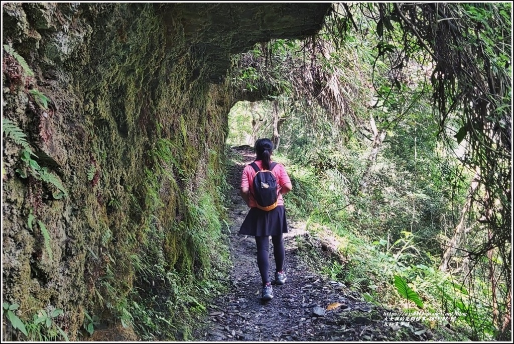 瓦拉米步道(八通關越嶺線東段)-2021-08-71.jpg 瓦拉米步道(八通關越嶺線東段)-2021-08-71.jpg