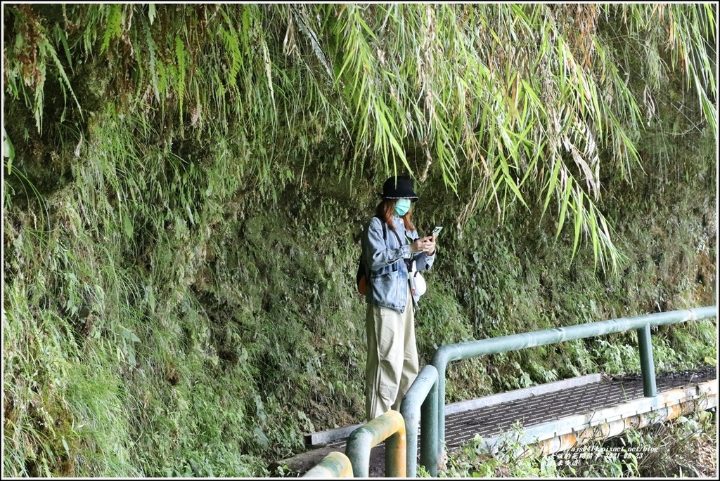 瓦拉米步道(八通關越嶺線東段)-2021-08-83.jpg