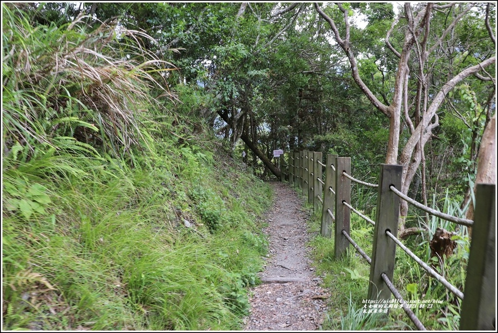 瓦拉米步道(八通關越嶺線東段)-2021-08-99.jpg