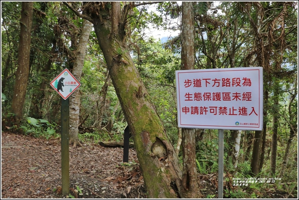 瓦拉米步道(八通關越嶺線東段)-2021-08-100.jpg