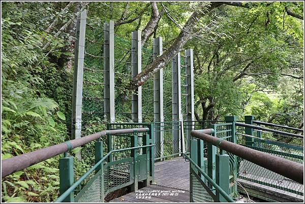 瓦拉米步道(山風一號吊橋)-2021-08-06.jpg