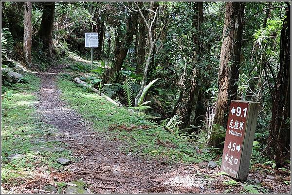 瓦拉米步道(佳心駐在所)-2021-08-18.jpg