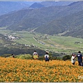 六十石山金針花季(山嵐亭)-2021-08-07.jpg