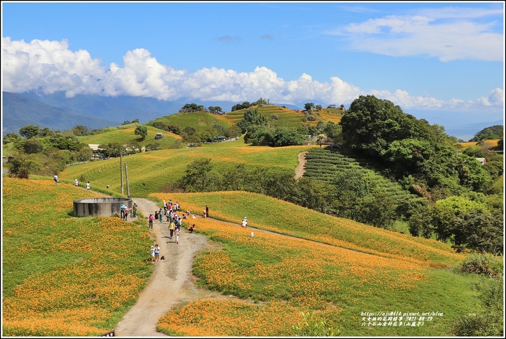 六十石山金針花季(山嵐亭)-2021-08-14.jpg