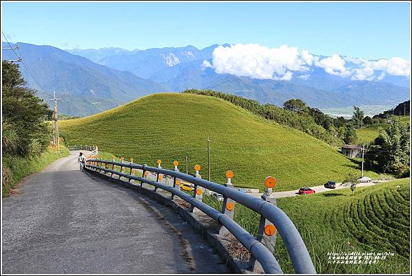 六十石山金針花季(忘憂亭)-2021-08-03.jpg