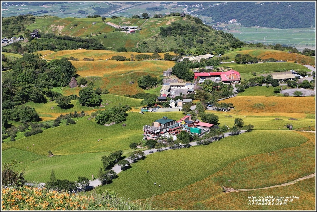 六十石山金針花季(忘憂亭)-2021-08-09.jpg