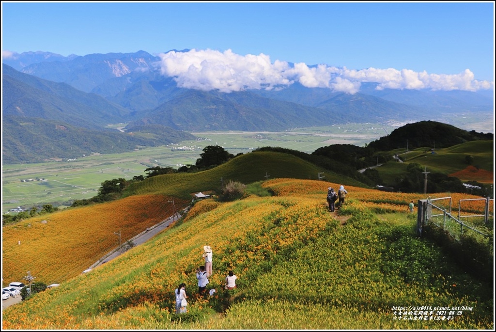 六十石山金針花季(忘憂亭)-2021-08-21.jpg