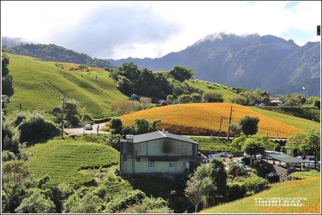 六十石山金針花季(德森有機農莊)-2021-08-15.jpg