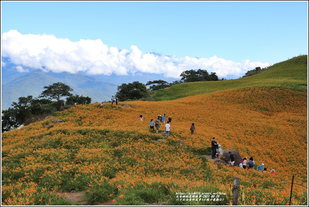 六十石山金針花季小瑞士景觀台)-2021-08-03.jpg